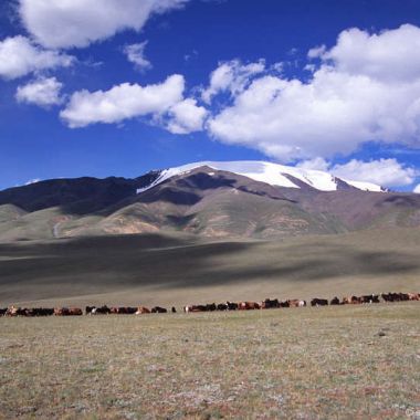 Mongolei - Dia-Vortrag mit Sarah Fischer